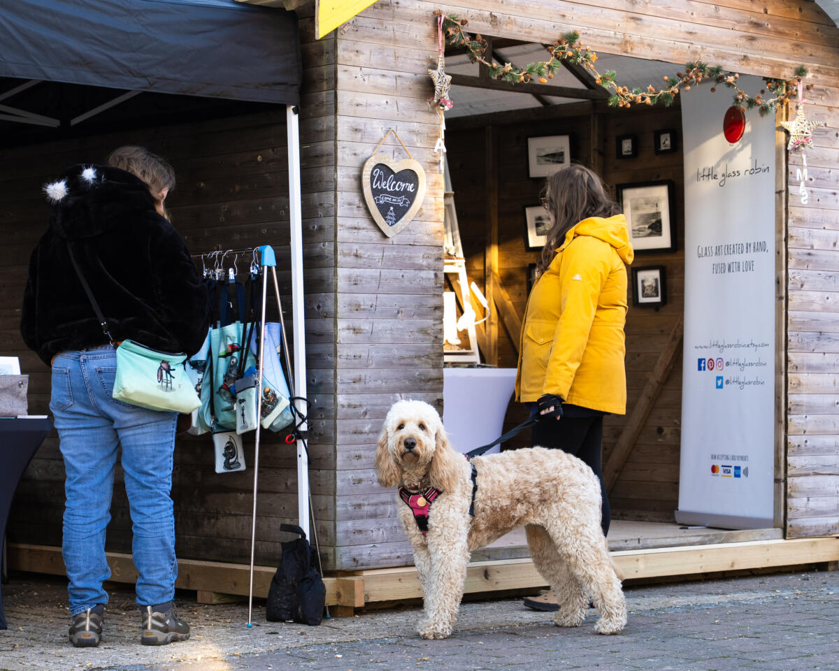 Hotwalls Studios Festive Creative Market, from Hotwalls Studios